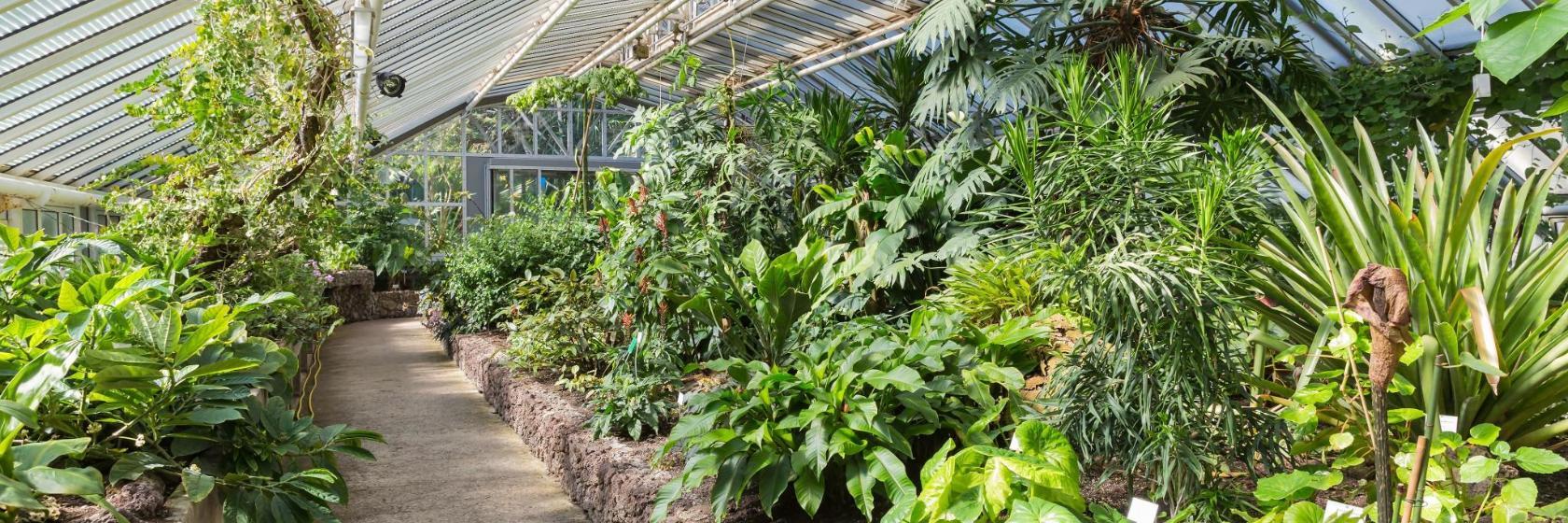 Jardim Botânico de Berlim